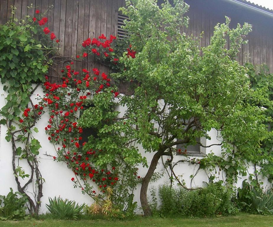 Goelsenhof - Fam. Buechinger Villa Wald  Luaran gambar