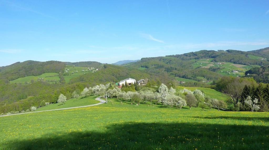 Goelsenhof - Fam. Buechinger Villa Wald  Luaran gambar