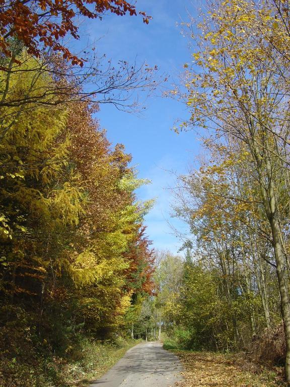Goelsenhof - Fam. Buechinger Villa Wald  Luaran gambar