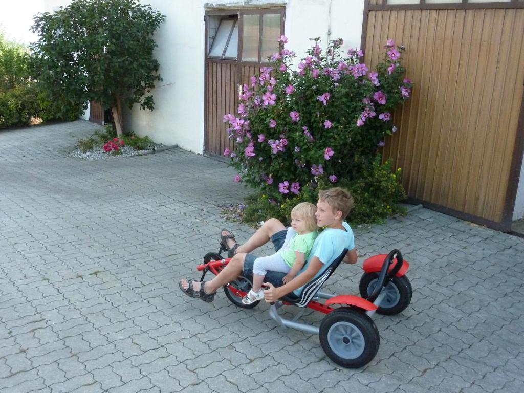 Goelsenhof - Fam. Buechinger Villa Wald  Luaran gambar