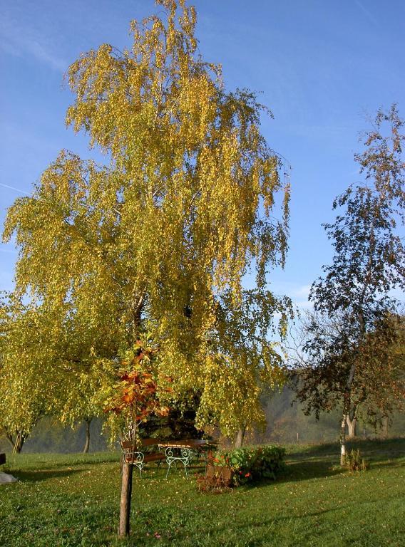 Goelsenhof - Fam. Buechinger Villa Wald  Luaran gambar